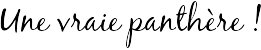Une vraie panthère !