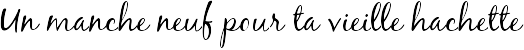 Un manche neuf pour ta vieille hachette