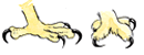 Les griffes Les griffes