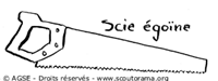scie