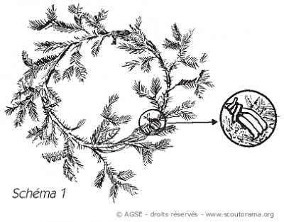 couronne avent schema1