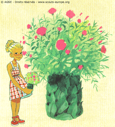 illustration-bouquet illustration-bouquet