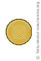 Tronc 1 Tronc 1